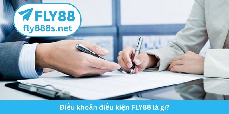 Điều khoản điều kiện FLY88 là gì?